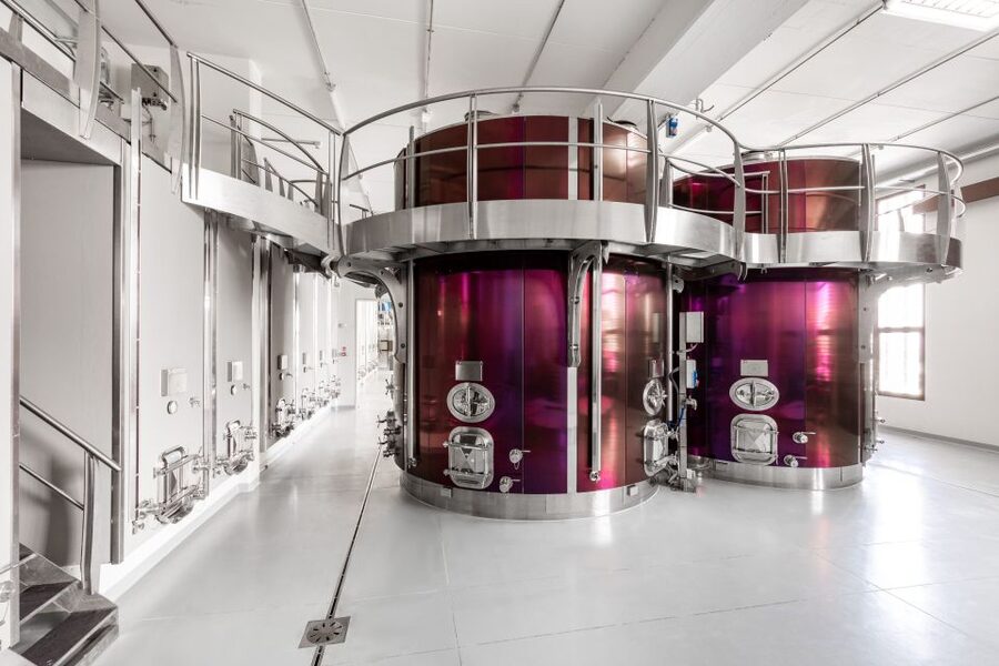 Bologna: Olive Grove and Vineyard Tour with Product Tastings - What happens during the 1 to 1.5-hour visit