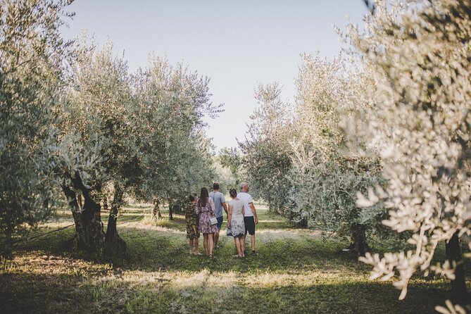 Buje: Authentic Istrian family farm, guided walk, foods & wine - The family welcome and guide style