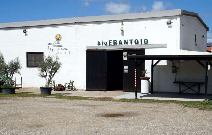 Cagliari Olive Oil Farm & Tasting (Since 1600, 20 Min Away) - Why this olive oil visit is worth your time