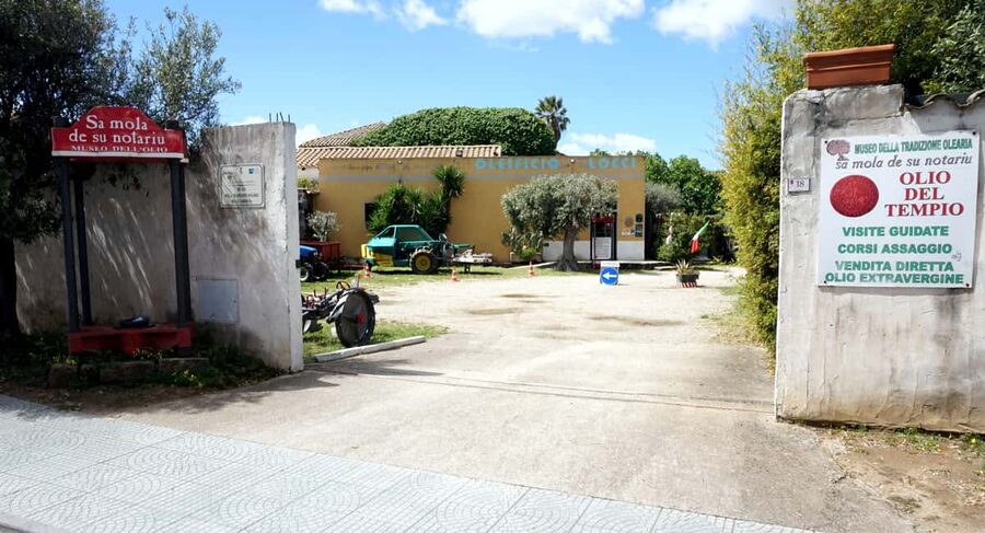 Cagliari Olive Oil Farm & Tasting (Since 1600, 20 Min Away) - The working mill and the olive oil lesson