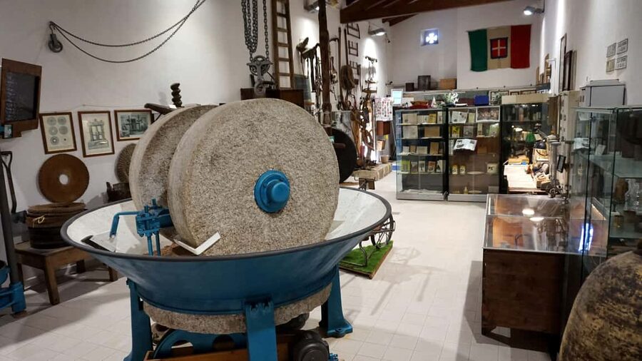 Cagliari Olive Oil Farm & Tasting (Since 1600, 20 Min Away) - Sa Mola de Su Notariu and its old stone mill