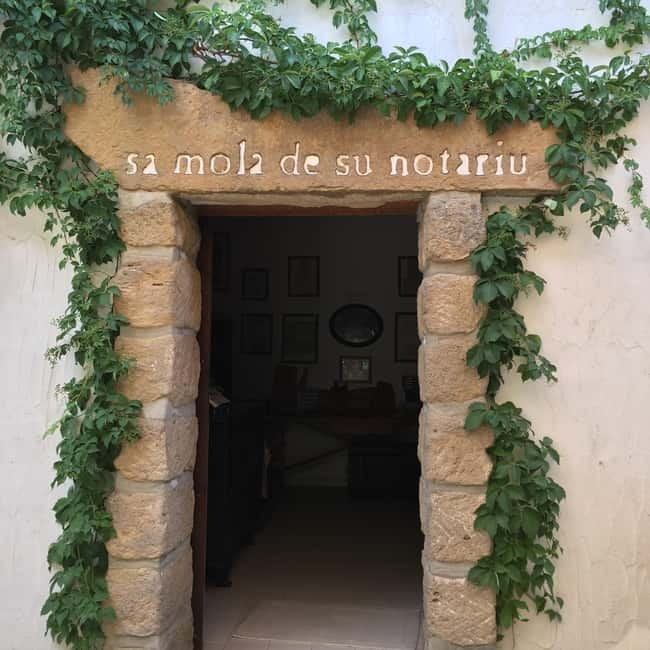 Cagliari Olive Oil Farm & Tasting (Since 1600, 20 Min Away) - Who will enjoy this experience most