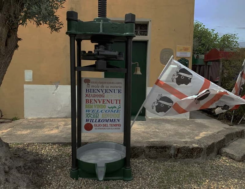 Cagliari Olive Oil Farm & Tasting (Since 1600, 20 Min Away) - Reaching Sa Mola de Su Notariu from Cagliari