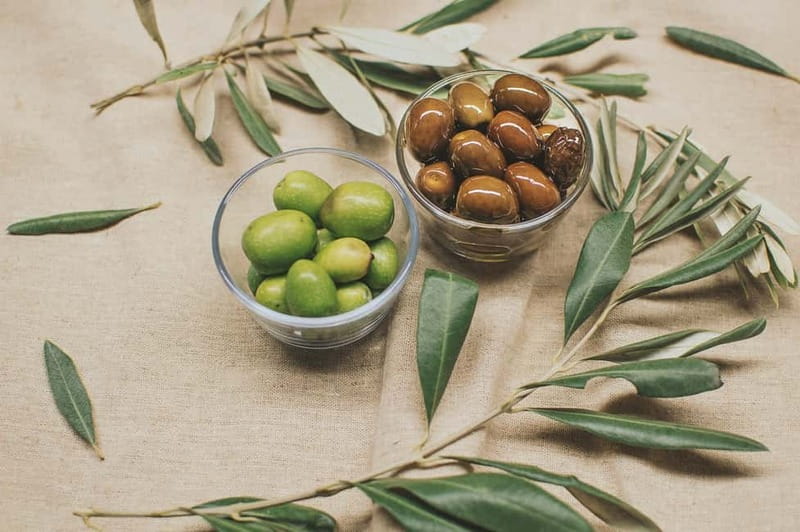Cagliari: private tasting of fine extra virgin olive oil - How to get the most from your hour