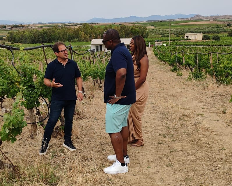 Cagliari: Wine and Olive oil Experience + Oil Mill Museum - Key points to know before booking