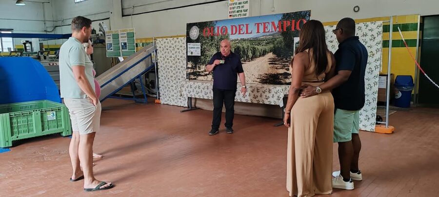 Cagliari: Wine and Olive oil Experience + Oil Mill Museum - Timing, meeting point, and transport