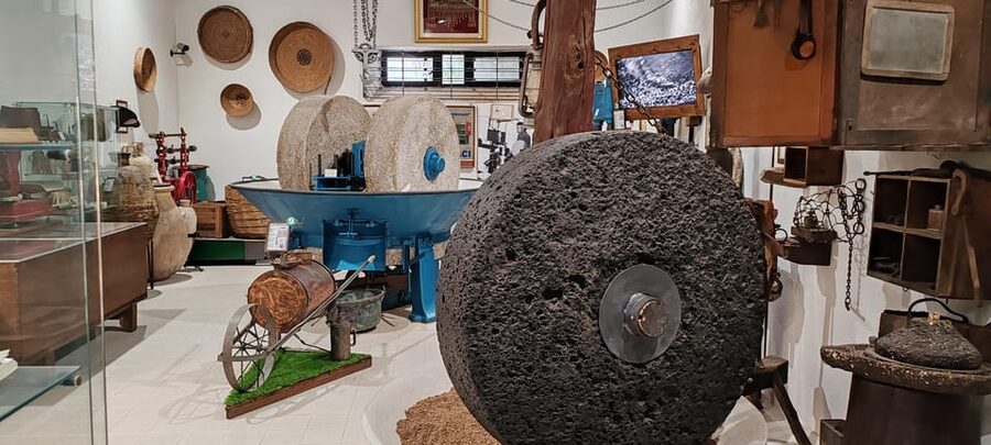 Cagliari: Wine and Olive oil Experience + Oil Mill Museum - Is $226.57 per person fair?
