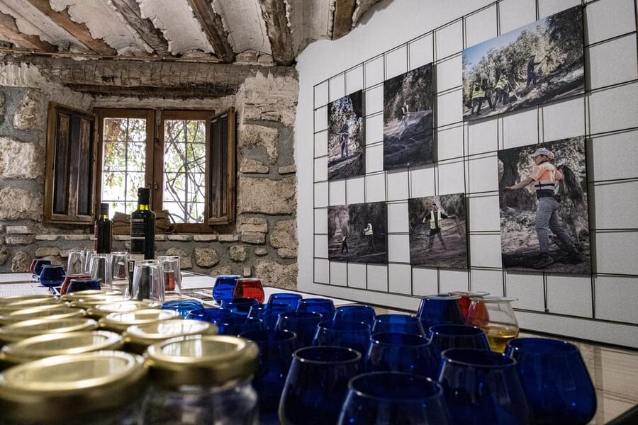 Cazorla: Highligts Tour with Olive Oil Tasting - Should you book the Cazorla highlights and olive oil tour?