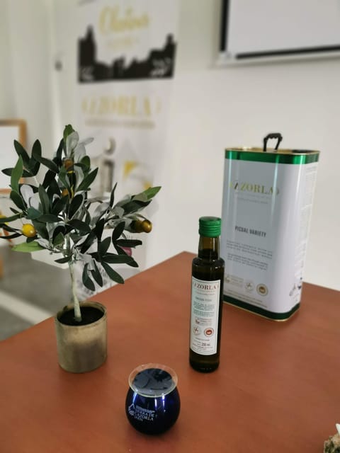 Cazorla: Oleotour - Olive Oil Culture Initiation - Starting at the Sierra de Cazorla olive oil complex
