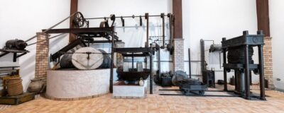 Cazorla: Oleotour – Olive Oil Culture Initiation