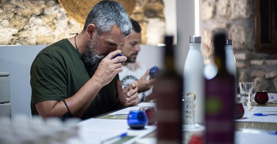 Cazorla: Olive grove and mill tour - Following the olives through SCA La Bética Aceitera