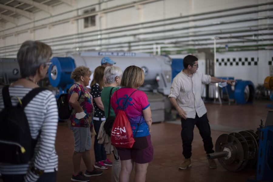 Cazorla: Olive grove and mill tour - How the small group changes the experience