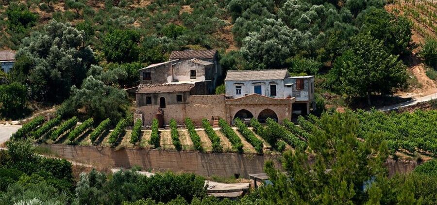 Chania: Milia Mountain Tour w/Lunch Olive Oil/Wine Tastings - The mountain roads are part of the attraction