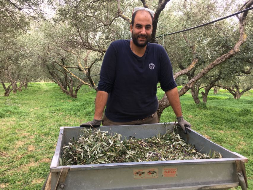 Chania Private Olive Oil Tour: Oil Tasting & Villages Tour - Booking details and practical value