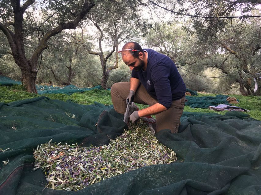 Chania Private Olive Oil Tour: Oil Tasting & Villages Tour - From Chania into the Apokoronas countryside