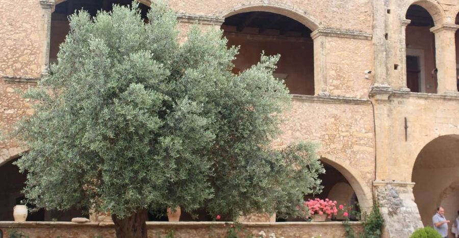 Chania Private Olive Oil Tour: Oil Tasting & Villages Tour - Seeing olive oil made before modern machinery