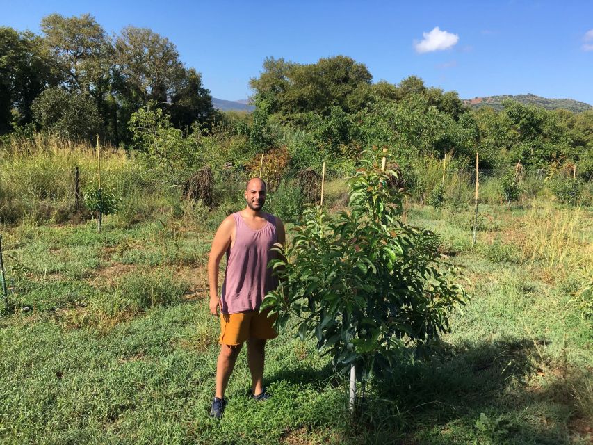 Chania Private Olive Oil Tour: Oil Tasting & Villages Tour - Coffee, lunch, and a look at village life
