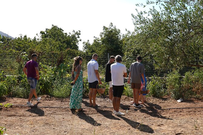Chania Sourdough Bread Class - Olive Oil Tasting - Who will enjoy this class most