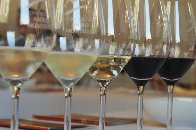Chianti from Florence:PRIVATE Wine, Olive Oil Tasting in the Tuscan countryside - The second cellar and a terrace lunch