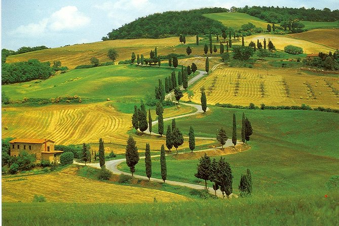 Chianti from Florence:PRIVATE Wine, Olive Oil Tasting in the Tuscan countryside - Why the private format matters