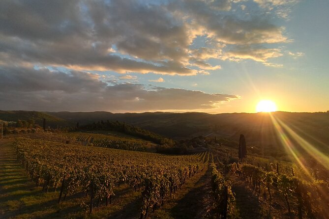 Chianti from Florence:PRIVATE Wine, Olive Oil Tasting in the Tuscan countryside - Is $368.12 per person a fair price?