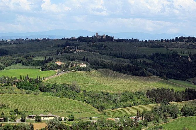 Chianti from Florence:PRIVATE Wine, Olive Oil Tasting in the Tuscan countryside - Who will enjoy this day most?