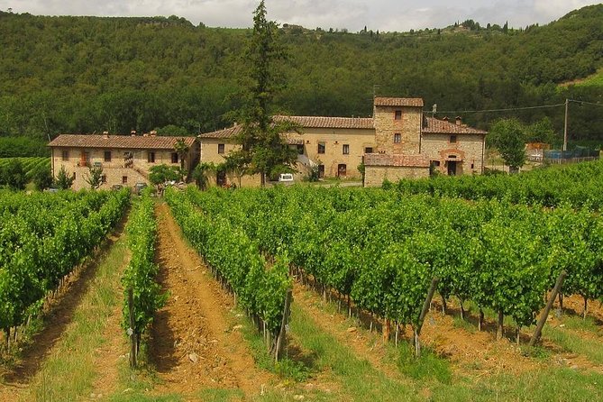 Chianti from Florence:PRIVATE Wine, Olive Oil Tasting in the Tuscan countryside - Cancellation and practical booking advice