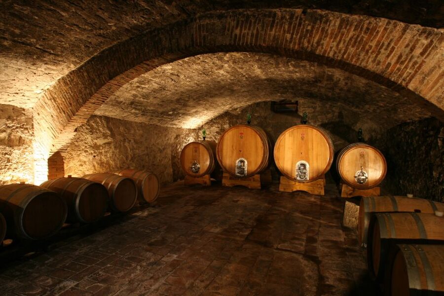 Chianti: Wine and Olive Oil Tasting with Cellar Tour - Key points at a glance