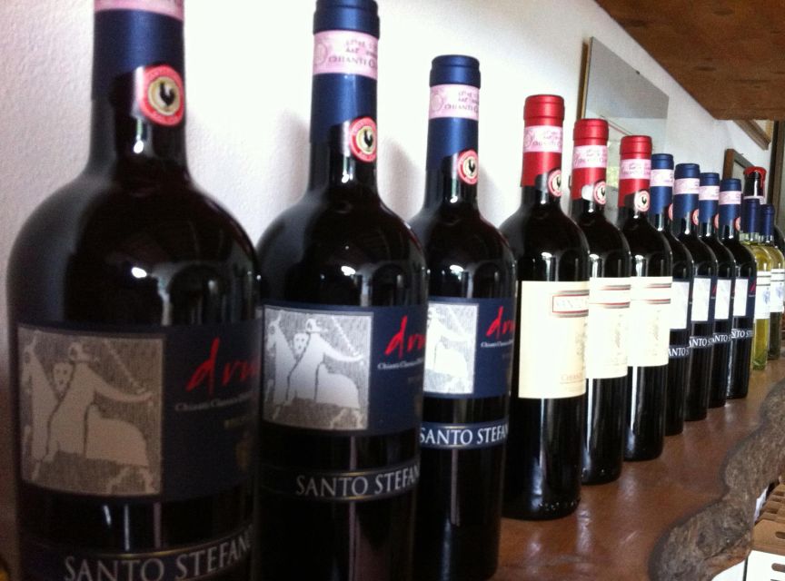 Chianti: Wine and Olive Oil Tasting with Cellar Tour - Should you book the Fattoria Santo Stefano tasting?