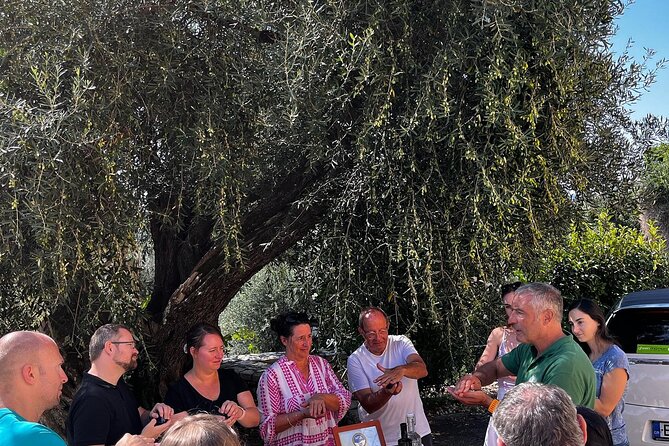 Cooking Classes and olive oil tasting.The real taste of Greece! - Olive trees, old machinery, and the taste of the oil