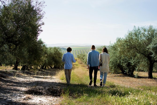 Cordoba Olive Oil mill, Wine, Passion - Key things to know before you book