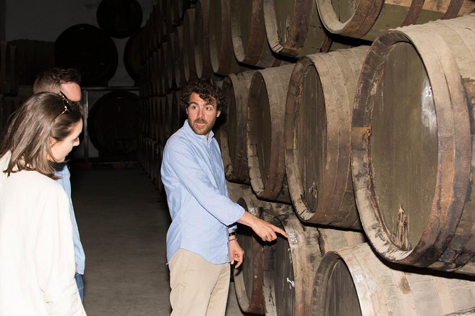 Cordoba Olive Oil mill, Wine, Passion - A private tour with a personal feel