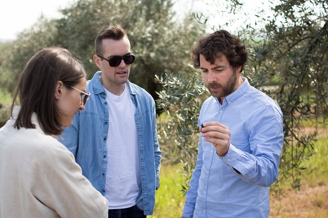 Cordoba Olive Oil mill, Wine, Passion - How olive oil production has changed