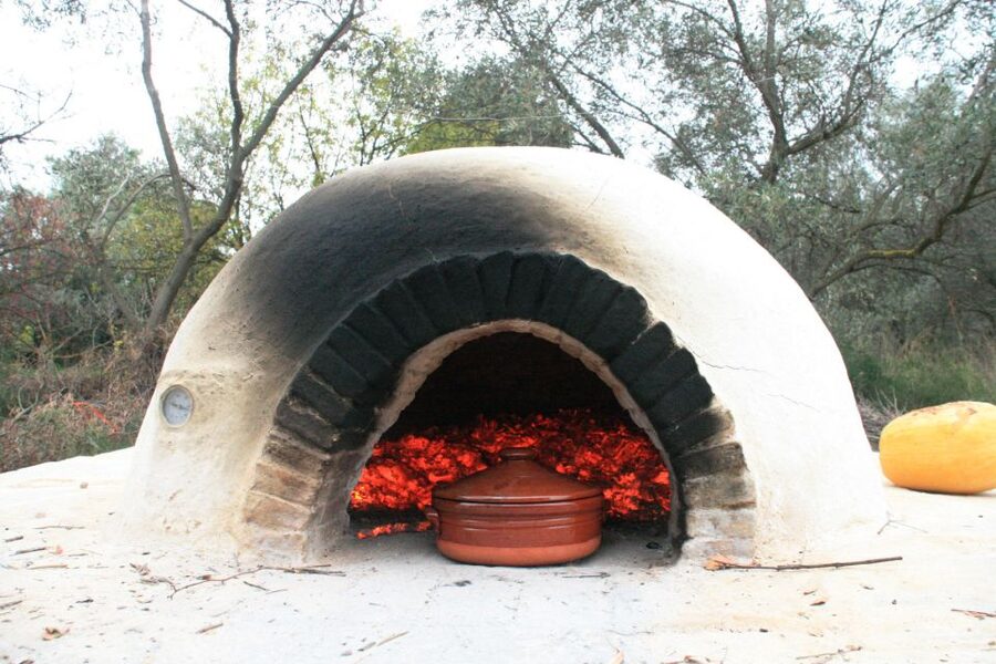 Corfu: Greek Cooking Class & Olive Oil Tasting - Price, value, and what is included