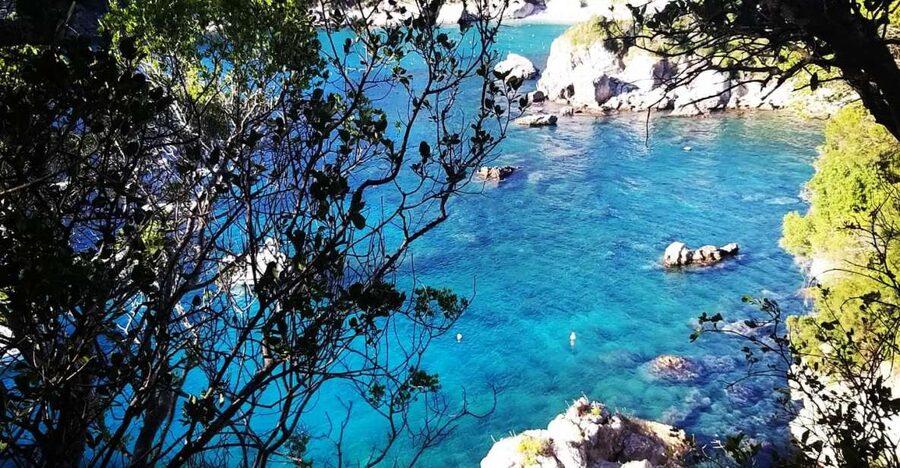 Corfu: Hiking in Olive Groves,Village,Sunset,with Swim Stop - Key things to know before you book