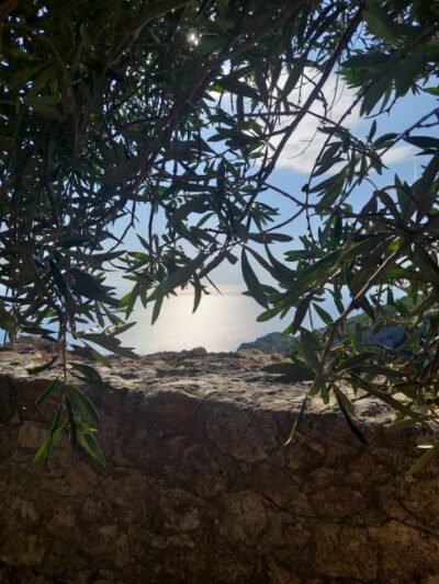 Hiking in Olive Groves,Village,Sunset,with Swim Stop