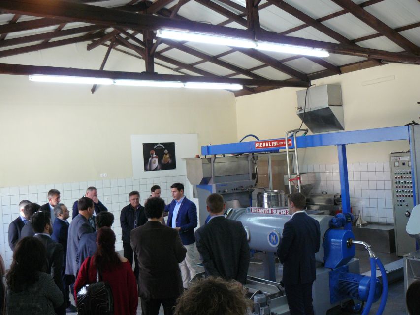 Corfu: Olive Oil Experience - The Governor's Olive Mill - The old Loutrouvio and Corfu’s olive-making past