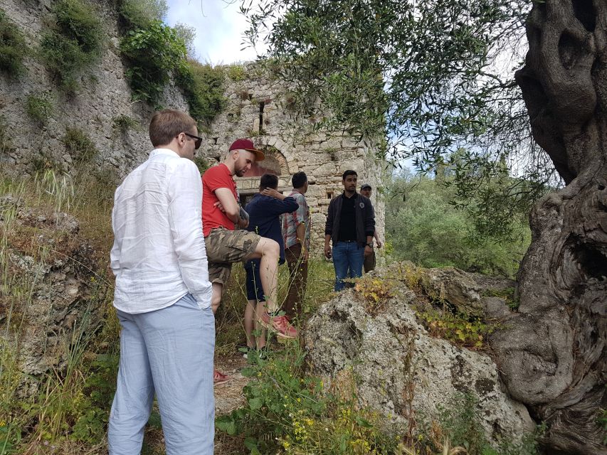Corfu: Olive Oil Experience - The Governor's Olive Mill - Ancient groves and the 1,500-year-old Mitera tree