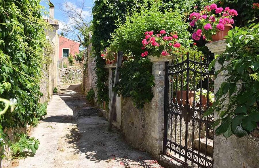 Corfu: Olive Oil & Wine Tastings & Traditional Villages Tour - Who will get the most from the $94 price