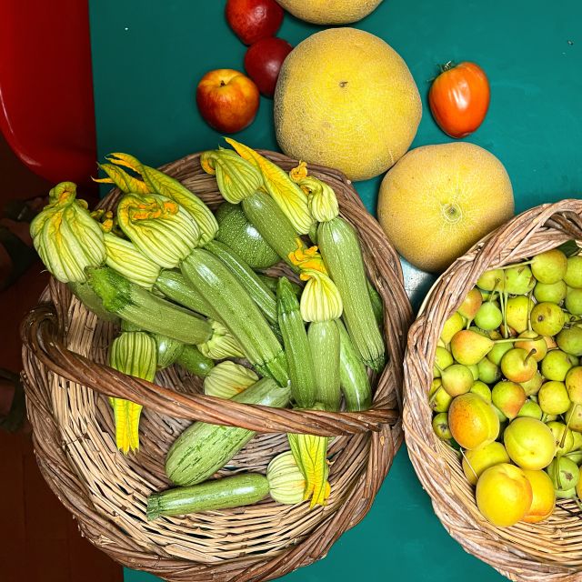 Corfu: Organic Olive Oil Farm Tour with Transfer and Tasting - Key points to know before you book