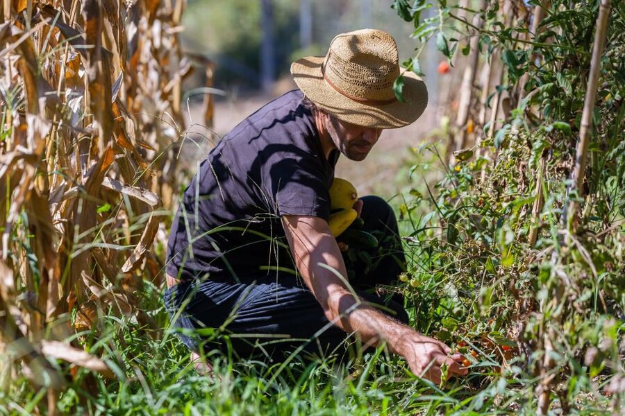 Corfu: Organic Olive Oil Farm Tour with Transfer and Tasting - Why the small group makes a difference