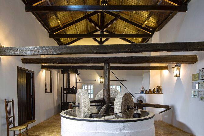 Corfu Organic Olive Oil Tasting at Family Farm - Tasting award-winning olive oil at the farm