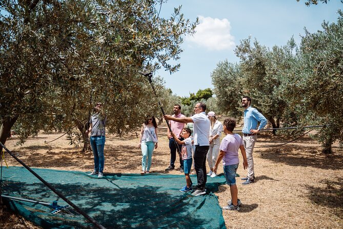 Corinth & Olive Oil Tasting Private Tour from Athens - Crossing the Corinth Canal in 20 minutes