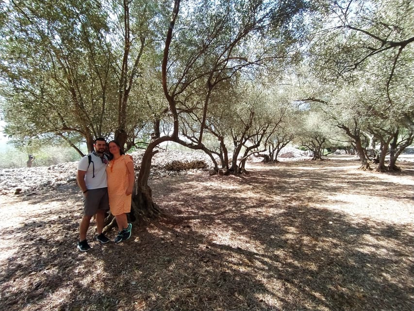 Cres: Olive Oil Walking Tour with Tastings - Meeting a Local Producer in Cres Town