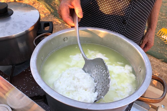 Cretan Farm Tour with Cheese-Making, Olive Oil Tasting & Picnic - Walking among olives, vegetables, and greenhouses