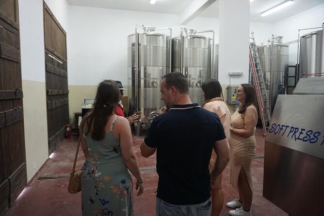 Cretan Wines & Olive oil tour - The treasures of Crete - Stironas: raki production and the longest stop