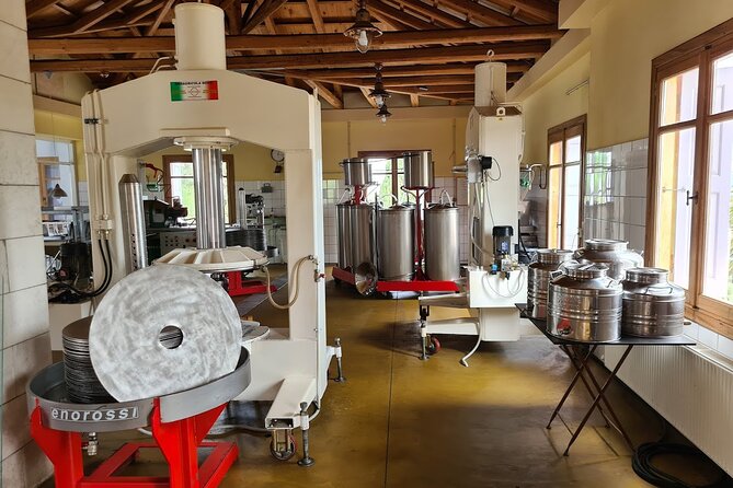 Crete Discovery Palace of Knossos, Wine and Olive Oil Experience - Lyrarakis Winery and Cretan grapes