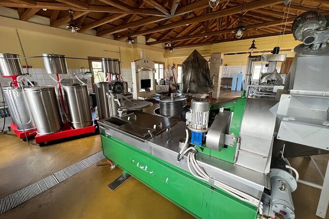 Crete Discovery Palace of Knossos, Wine and Olive Oil Experience - What the $577.97 price really buys