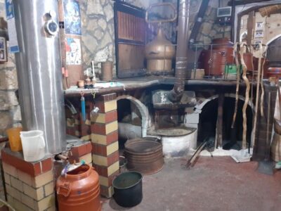 Full-Day Cretan Wines, Olive Oil, Raki and Food Tour