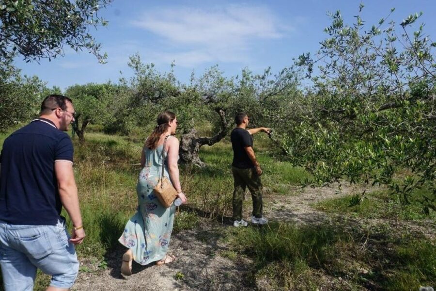 Crete: Full-Day Cretan Wines, Olive Oil, Raki and Food Tour - The van rides and the eight-hour rhythm